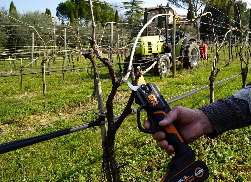 forbice vigna worx wg330e