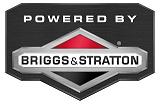 LOGO Briggs&Stratton